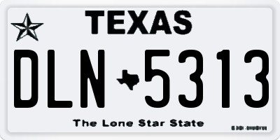 TX license plate DLN5313