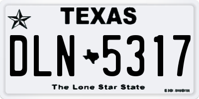 TX license plate DLN5317