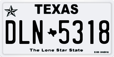 TX license plate DLN5318