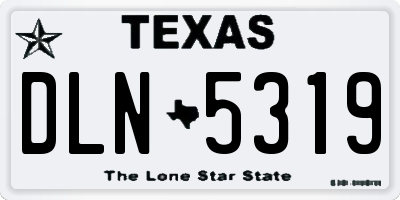 TX license plate DLN5319