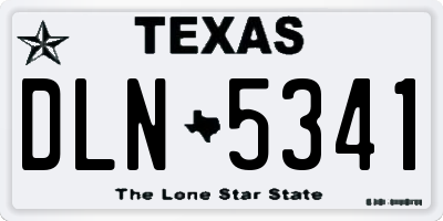 TX license plate DLN5341
