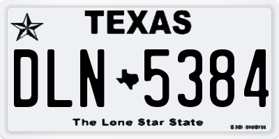 TX license plate DLN5384