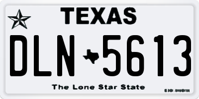TX license plate DLN5613