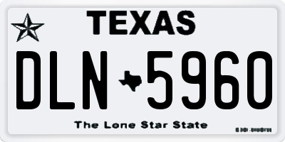 TX license plate DLN5960