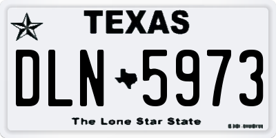 TX license plate DLN5973