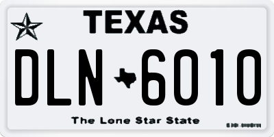 TX license plate DLN6010