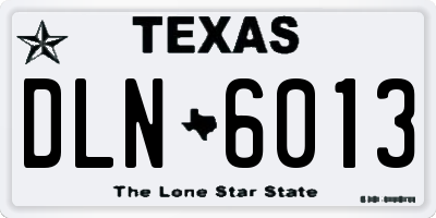 TX license plate DLN6013