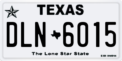 TX license plate DLN6015