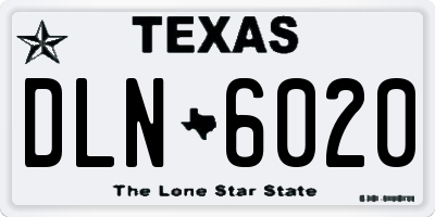TX license plate DLN6020