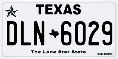 TX license plate DLN6029