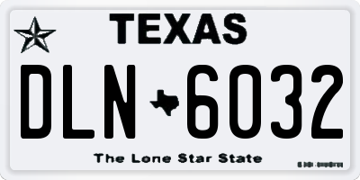 TX license plate DLN6032