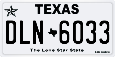 TX license plate DLN6033