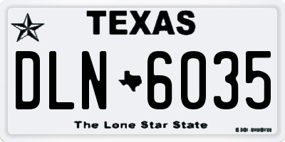 TX license plate DLN6035