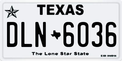 TX license plate DLN6036