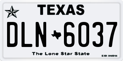 TX license plate DLN6037