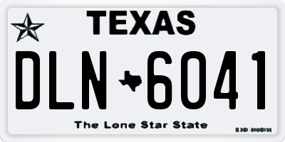 TX license plate DLN6041
