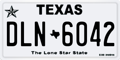 TX license plate DLN6042