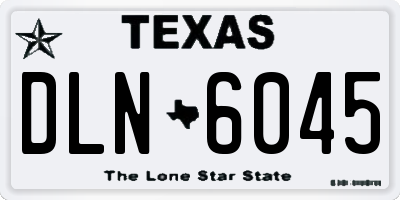 TX license plate DLN6045