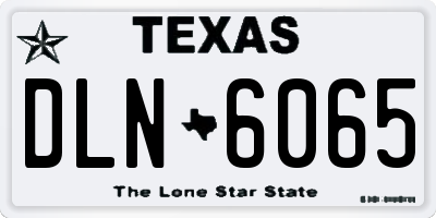 TX license plate DLN6065
