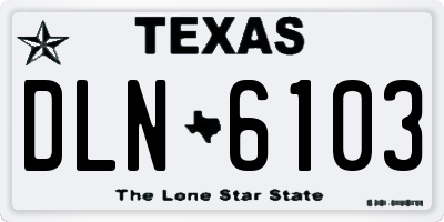 TX license plate DLN6103