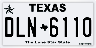 TX license plate DLN6110