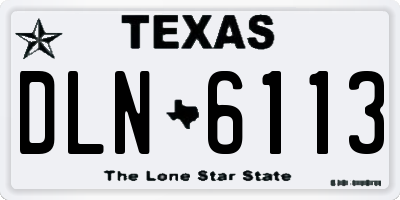 TX license plate DLN6113