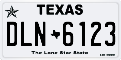 TX license plate DLN6123