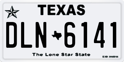 TX license plate DLN6141