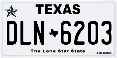 TX license plate DLN6203