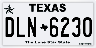 TX license plate DLN6230