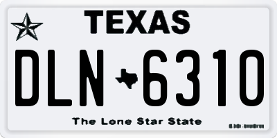 TX license plate DLN6310