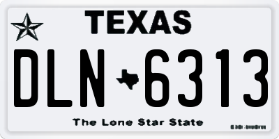 TX license plate DLN6313