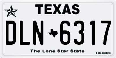 TX license plate DLN6317