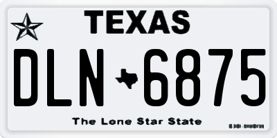 TX license plate DLN6875