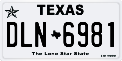 TX license plate DLN6981