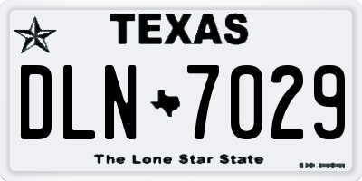 TX license plate DLN7029
