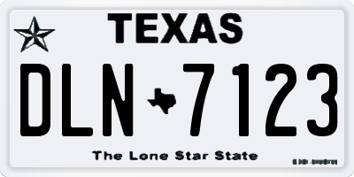 TX license plate DLN7123