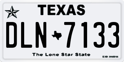 TX license plate DLN7133