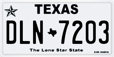 TX license plate DLN7203