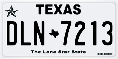 TX license plate DLN7213