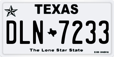 TX license plate DLN7233