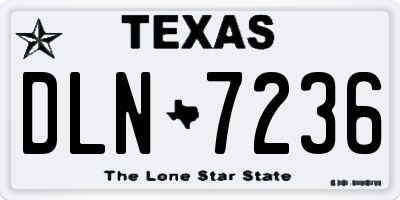 TX license plate DLN7236