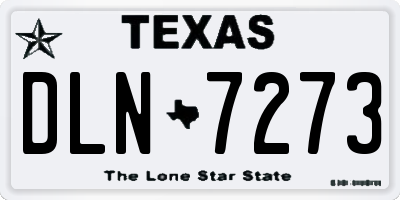TX license plate DLN7273