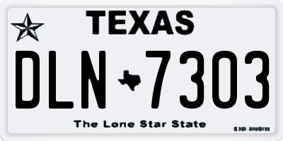 TX license plate DLN7303