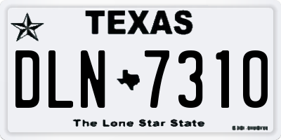 TX license plate DLN7310