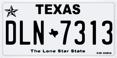 TX license plate DLN7313