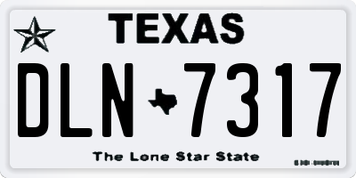 TX license plate DLN7317