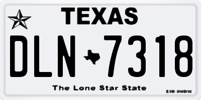 TX license plate DLN7318