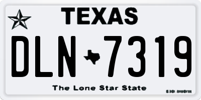 TX license plate DLN7319