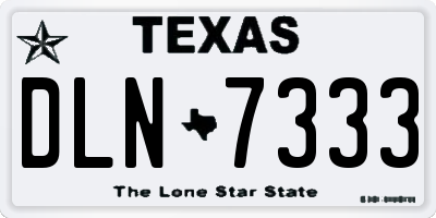TX license plate DLN7333